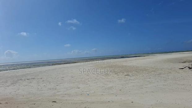 Expansive Beach Plots