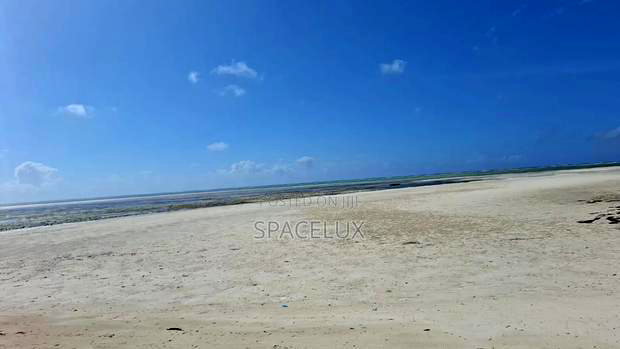 Expansive Beach Plots