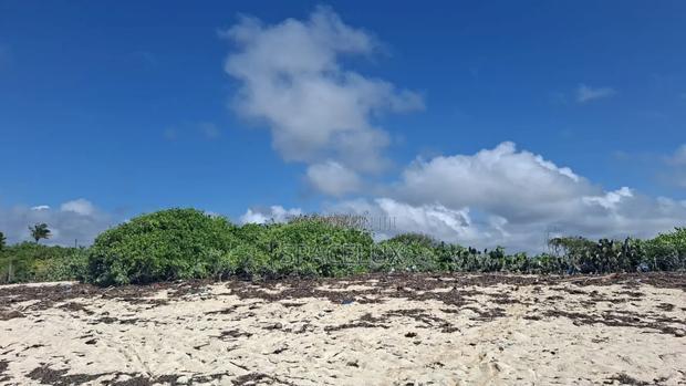 Expansive Beach Plots