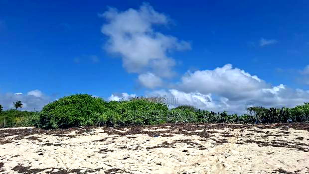 Expansive Beach Plots