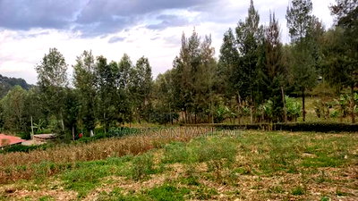 Ome Acre for Sale in Ngong Fronting Tarmac. - Image 3