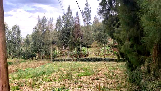 Ome Acre for Sale in Ngong Fronting Tarmac.