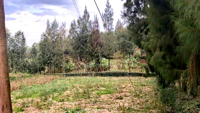 Ome Acre for Sale in Ngong Fronting Tarmac. - Image 2