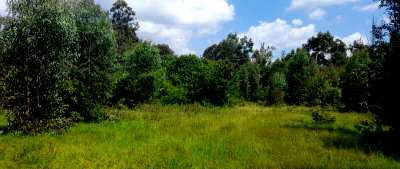 1 Acre Commercial Plot for KSh 85M