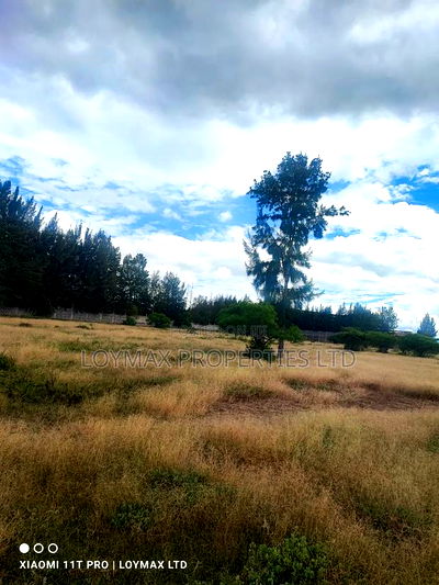 One Acre Industrial on Sale in Kitengela Kisaju Near Tarmac - Image 9