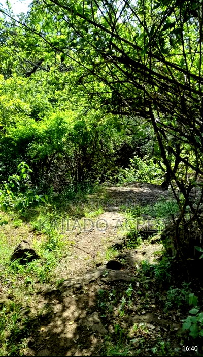 Prime 20 Acres With Hot Springs Ewuasokedong at 400kper Acre - Image 3