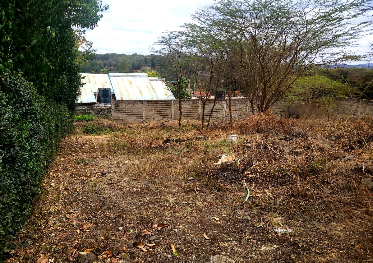 KSh 15M Quarter Acre Plot