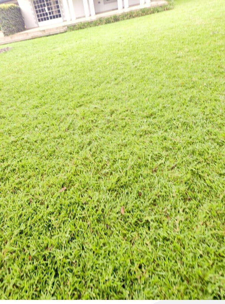 Spacious 4BR Garden Home at KSh 647K