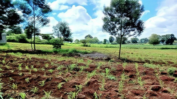 Prime 3.71 Acres in Riara Ridge, Limuru.