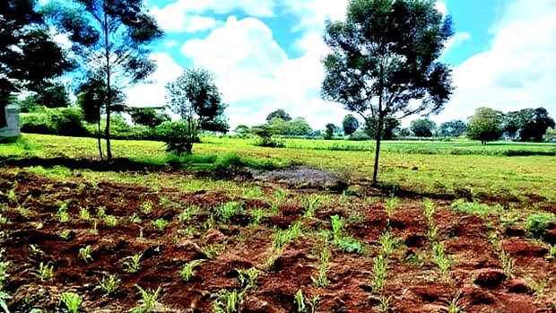 Prime 3.71 Acres in Riara Ridge, Limuru.