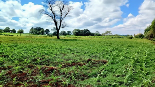 Prime 3.71 Acres in Riara Ridge, Limuru.