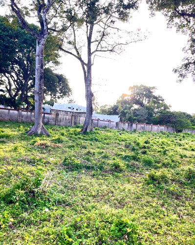 2.6-Acre Commercial Plot with Garden