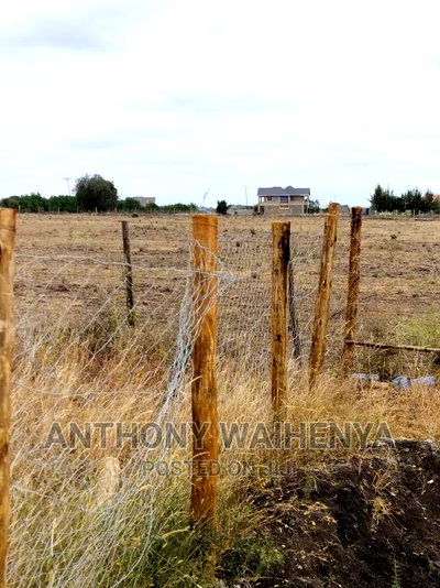 KITENGELA Kisaju Plots for Sale Size 50/100 - Image 20