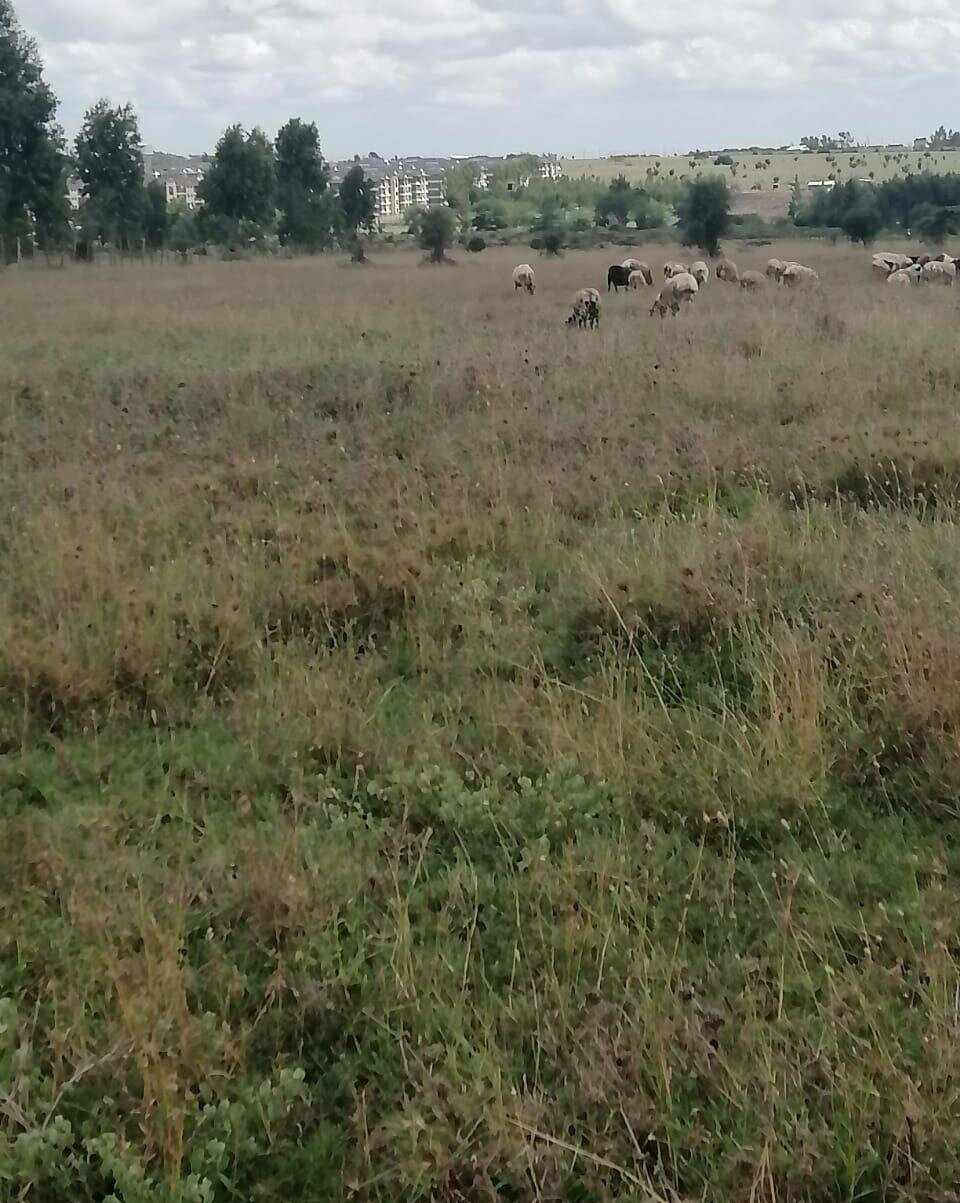 10-Acre Land in Kisaju for KSh 5M