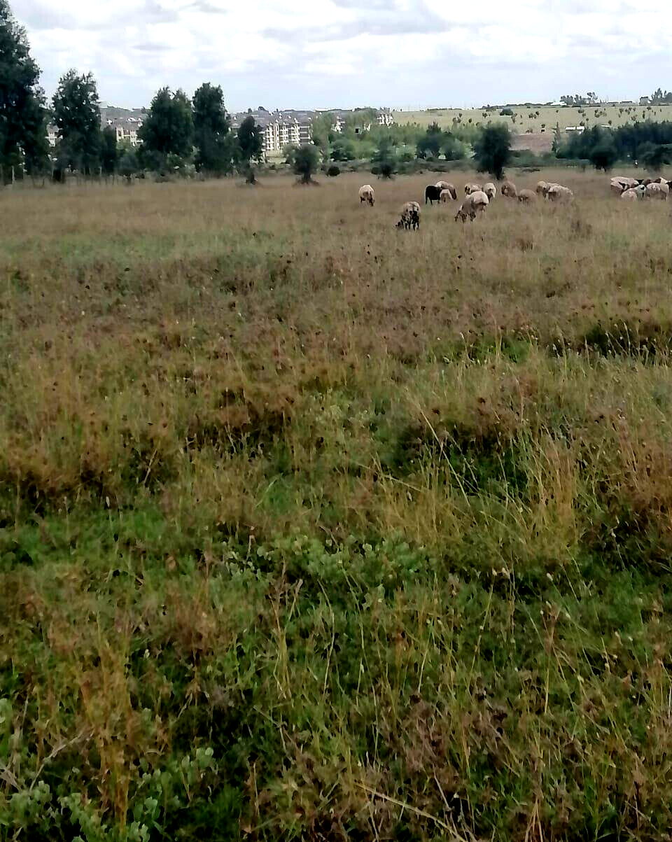 10-Acre Land in Kisaju for KSh 5M