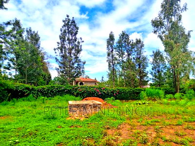 Thome One, Prime 1/2 Acre Plot - Image 7