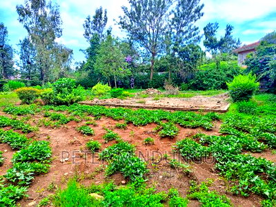 Thome One, Prime 1/2 Acre Plot - Image 2