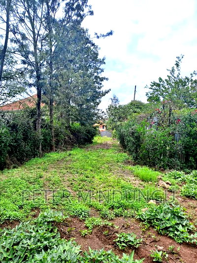 Thome One, Prime 1/2 Acre Plot - Image 4