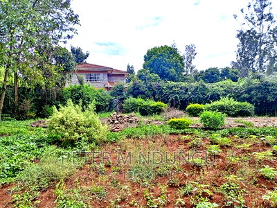 Thome One, Prime 1/2 Acre Plot - Image 6