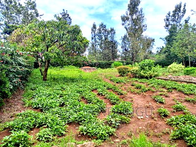 Thome One, Prime 1/2 Acre Plot - Image 3