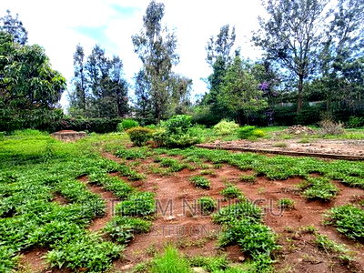 Thome One, Prime 1/2 Acre Plot - Image 9