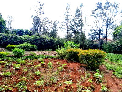 Thome One, Prime 1/2 Acre Plot - Image 8