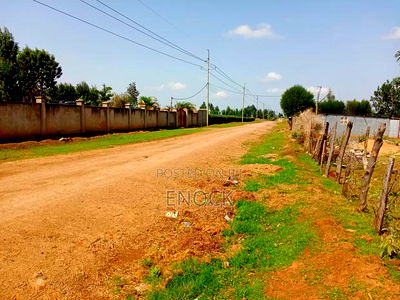 Prime Residential 1/8acre Plots in Kiplombe - Image 3