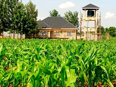 Prime Residential 1/8acre Plots in Kiplombe - Image 2