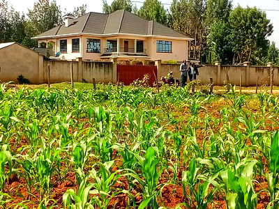 Prime Residential 1/8acre Plots in Kiplombe - Image 1