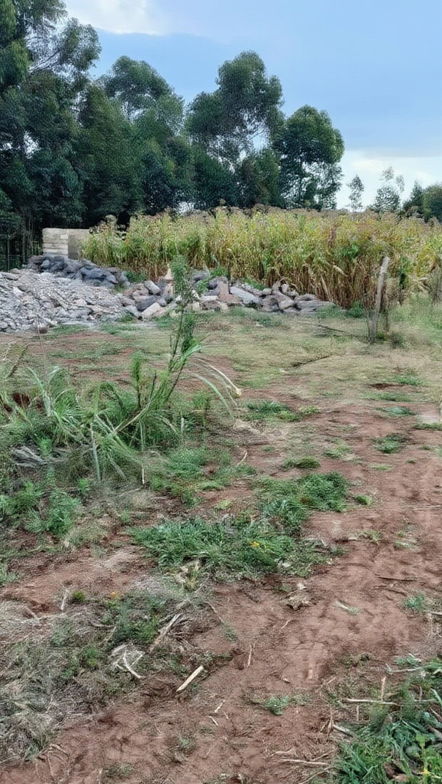 Affordable Prime Plot for Sale - Rironi Kiroe