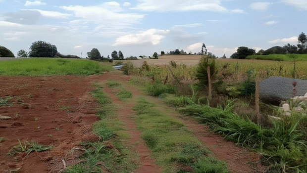 Affordable Prime Plot for Sale - Rironi Kiroe