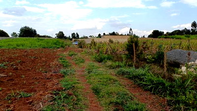 Affordable Prime Plot for Sale - Rironi Kiroe - Image 1