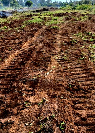 Prime 50x100ft Residential Land for Sale - Image 2