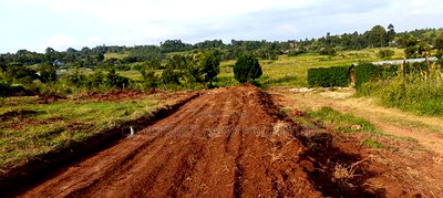 Prime 50x100ft Residential Land for Sale - Image 3