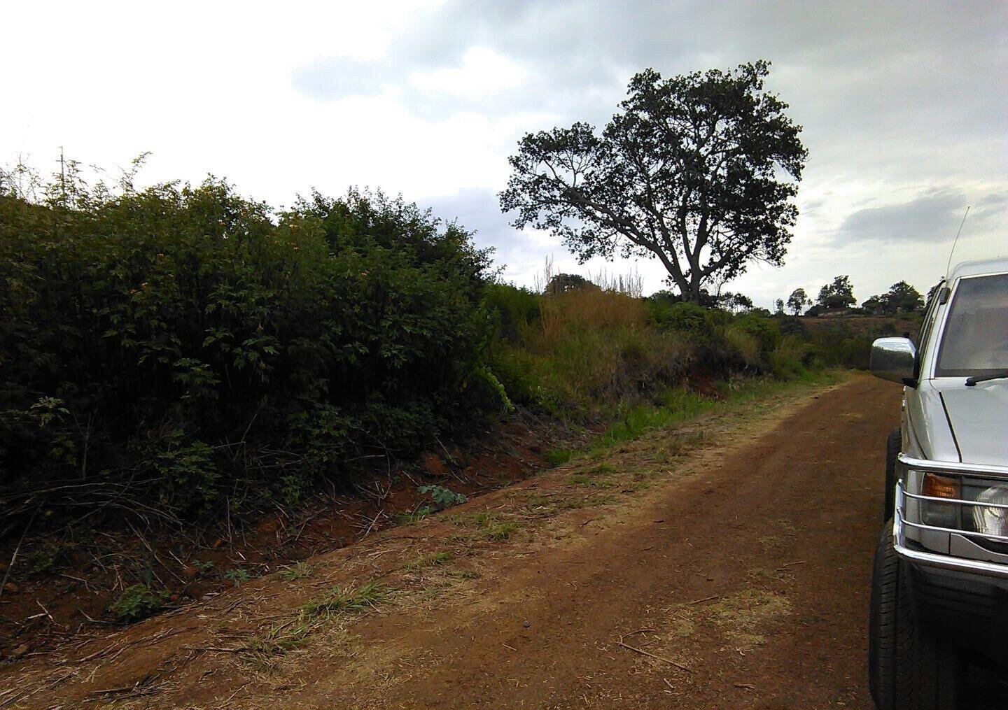 Quarter Acre Plot in Thika Greens