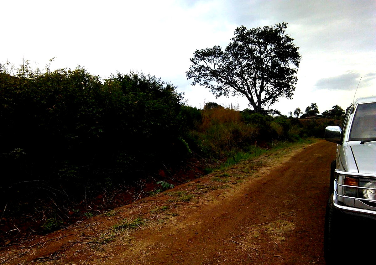 Quarter Acre Plot in Thika Greens
