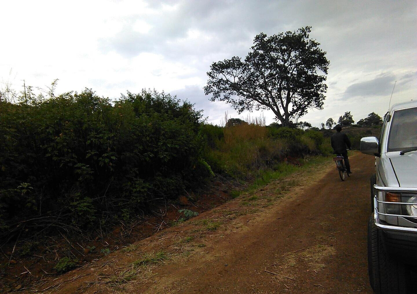 Quarter Acre Plot in Thika Greens