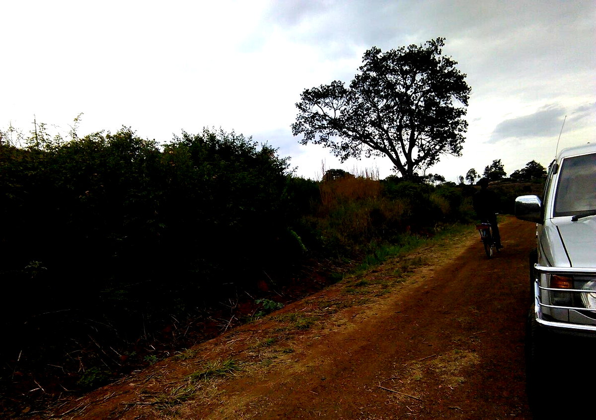 Quarter Acre Plot in Thika Greens