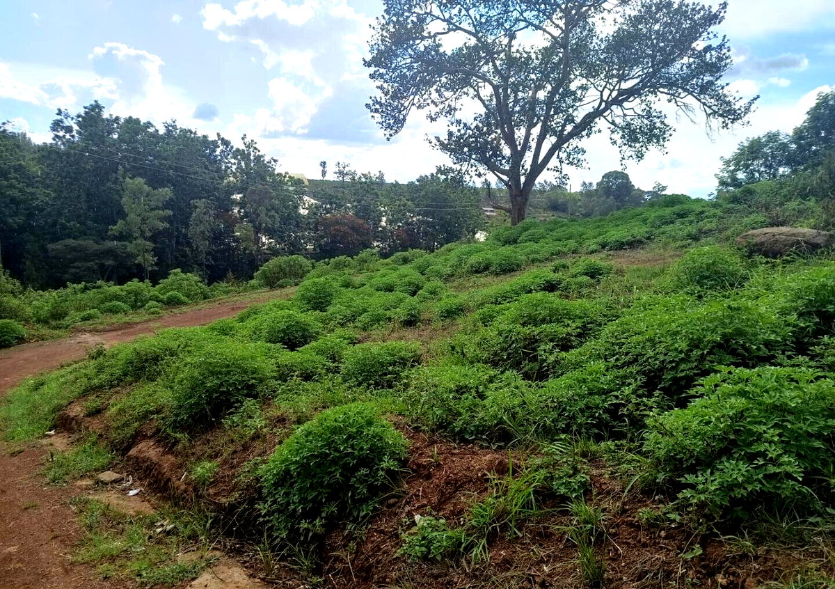 Quarter Acre Plot in Thika Greens