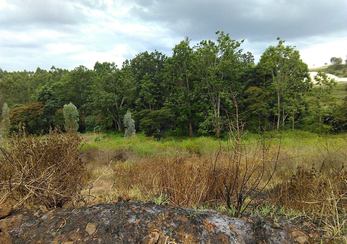Quarter Acre Plot in Thika Greens