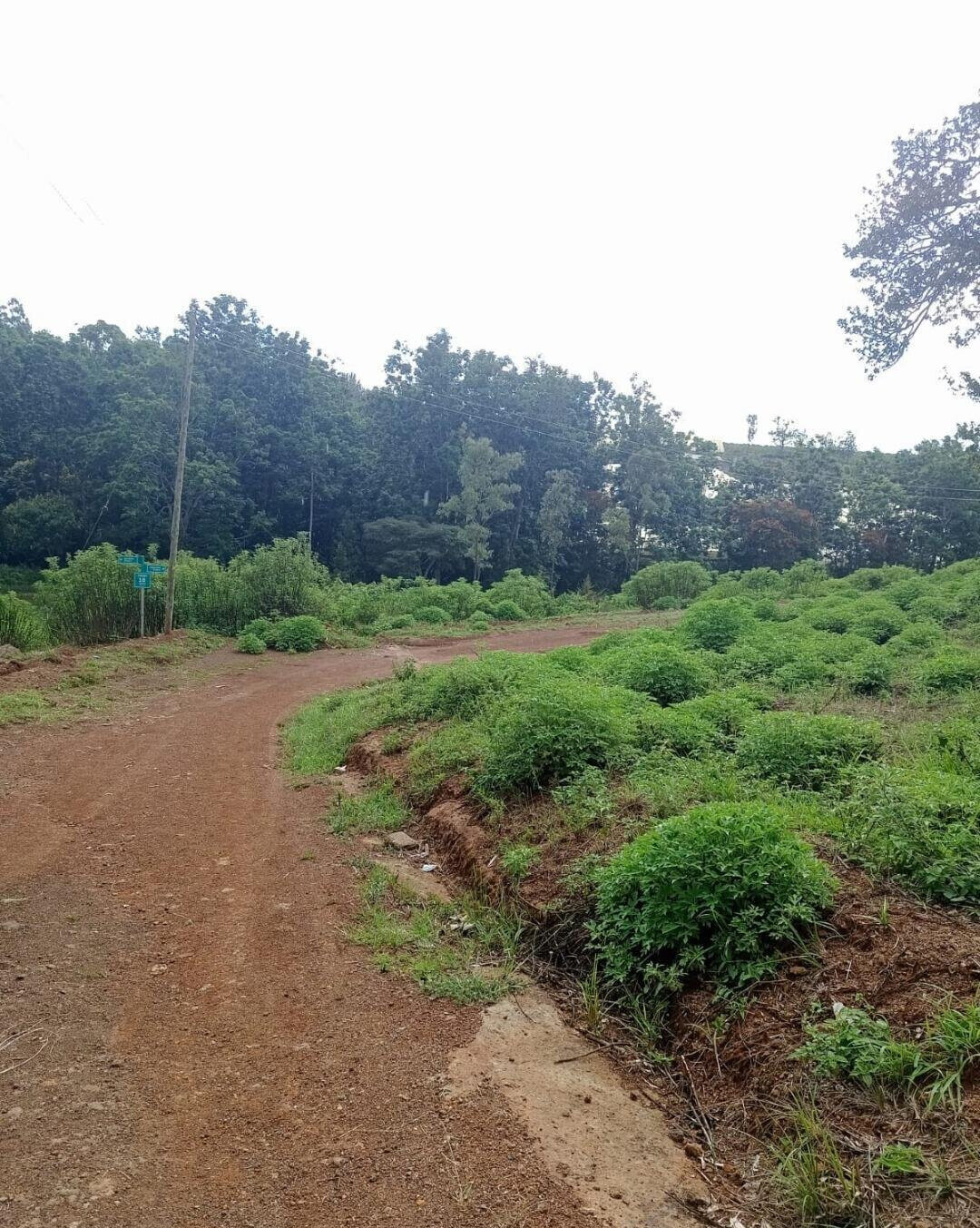 Quarter Acre Plot in Thika Greens