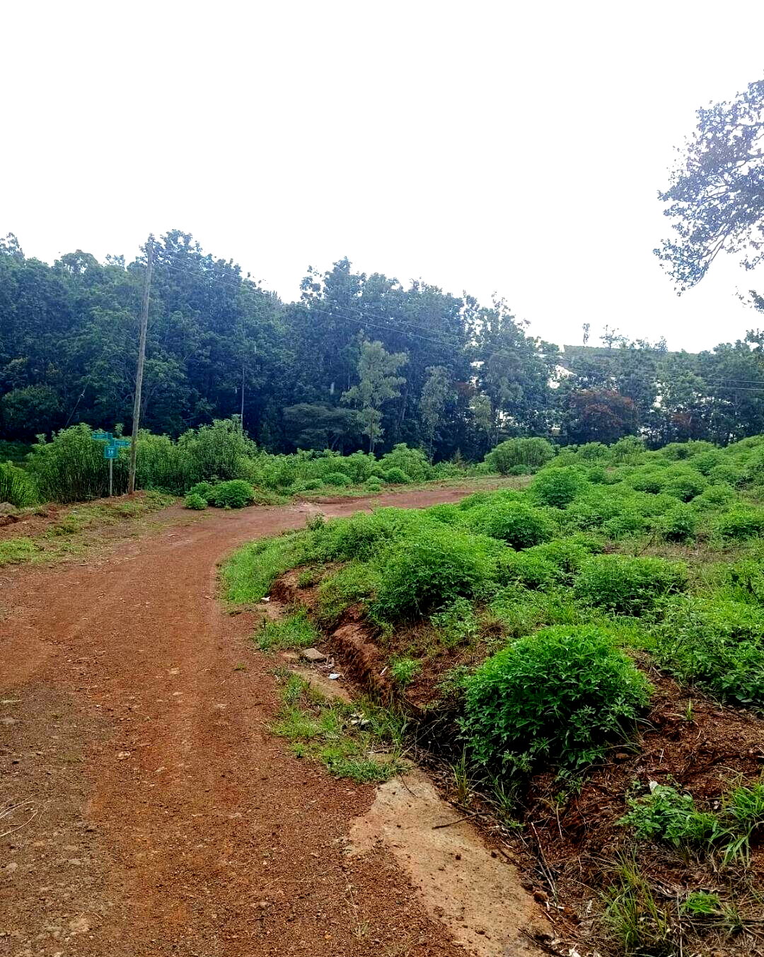 Quarter Acre Plot in Thika Greens