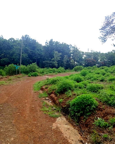 Quarter Acre Plot in Thika Greens