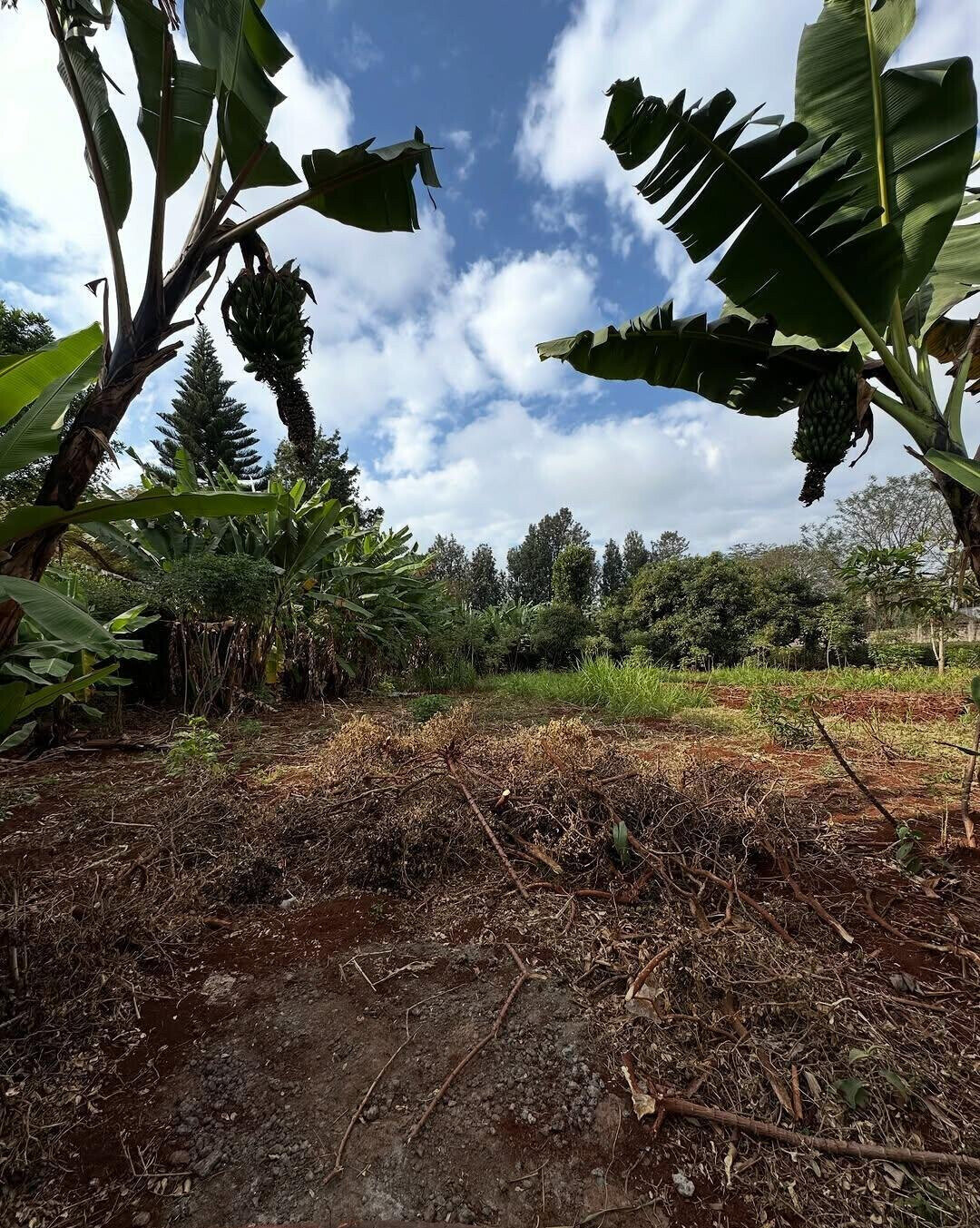 Half Acre in Muthaiga at KSh 70M