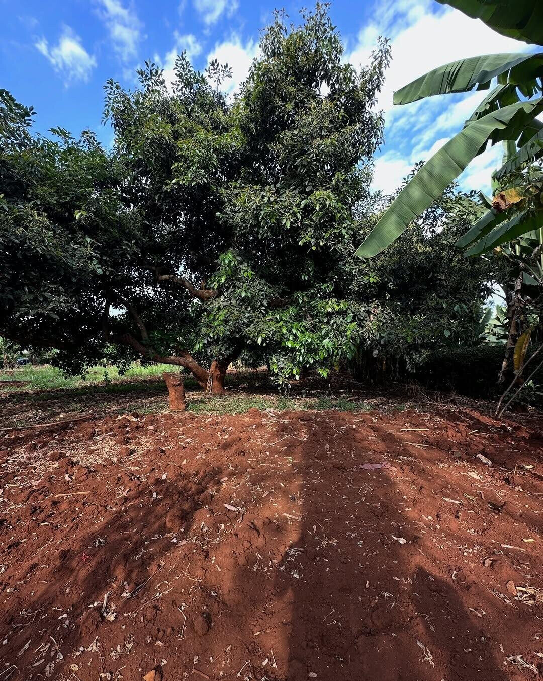 Half Acre in Muthaiga at KSh 70M