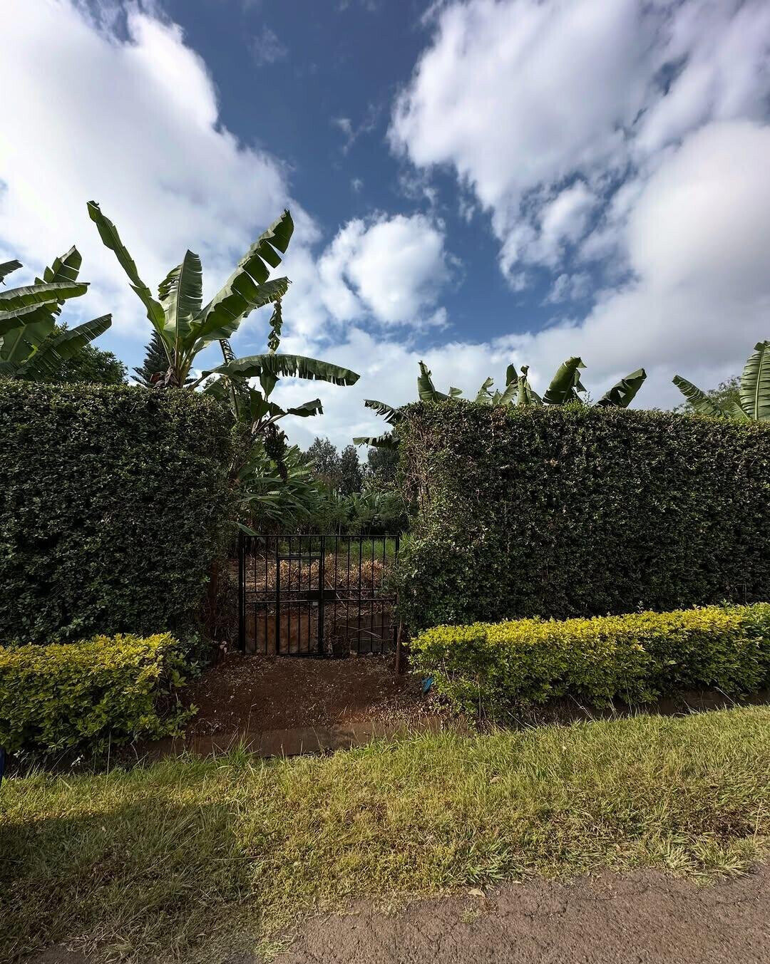 Half Acre in Muthaiga at KSh 70M