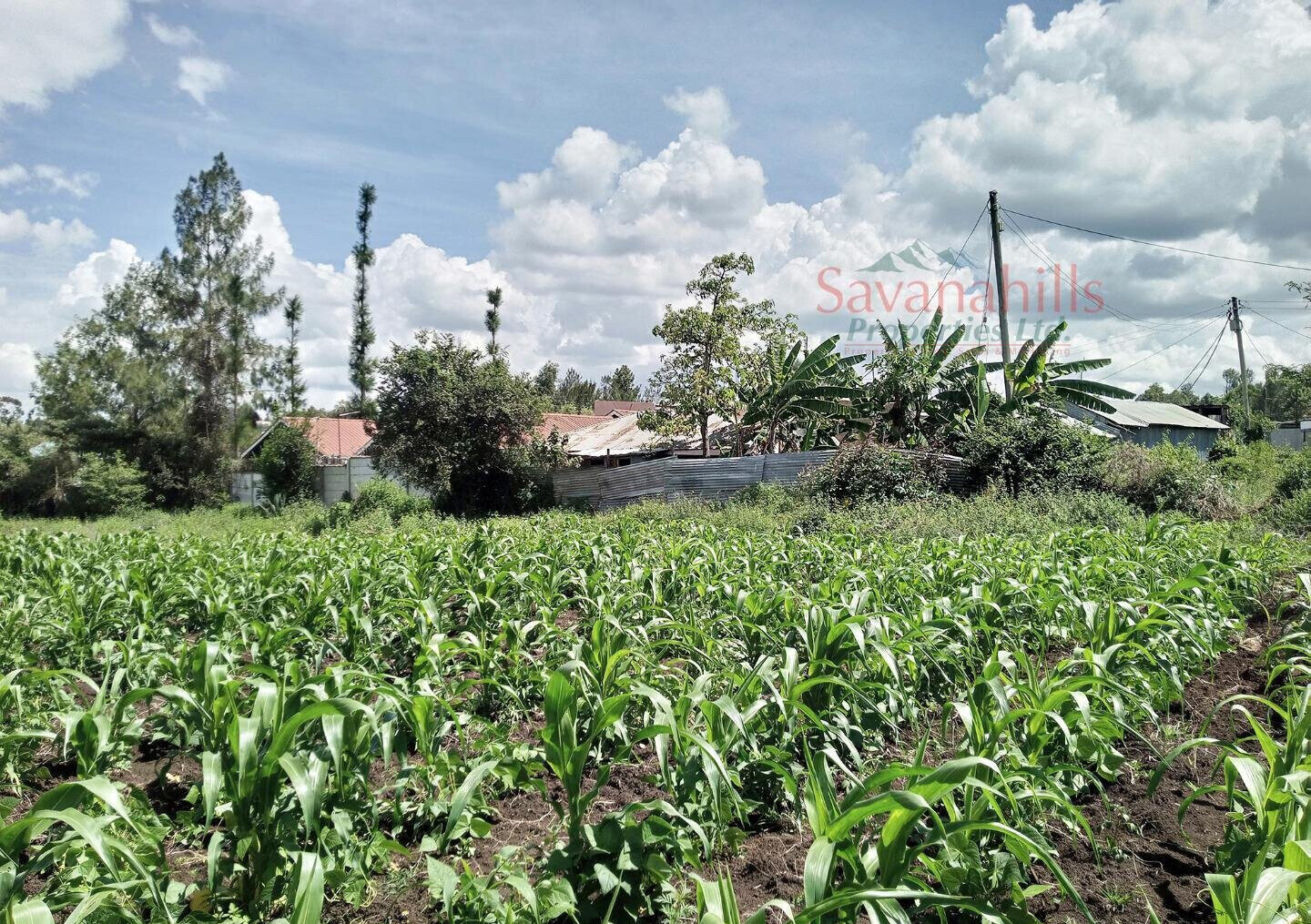 1/8 Acre Zambia Plot at KSh 4.5M