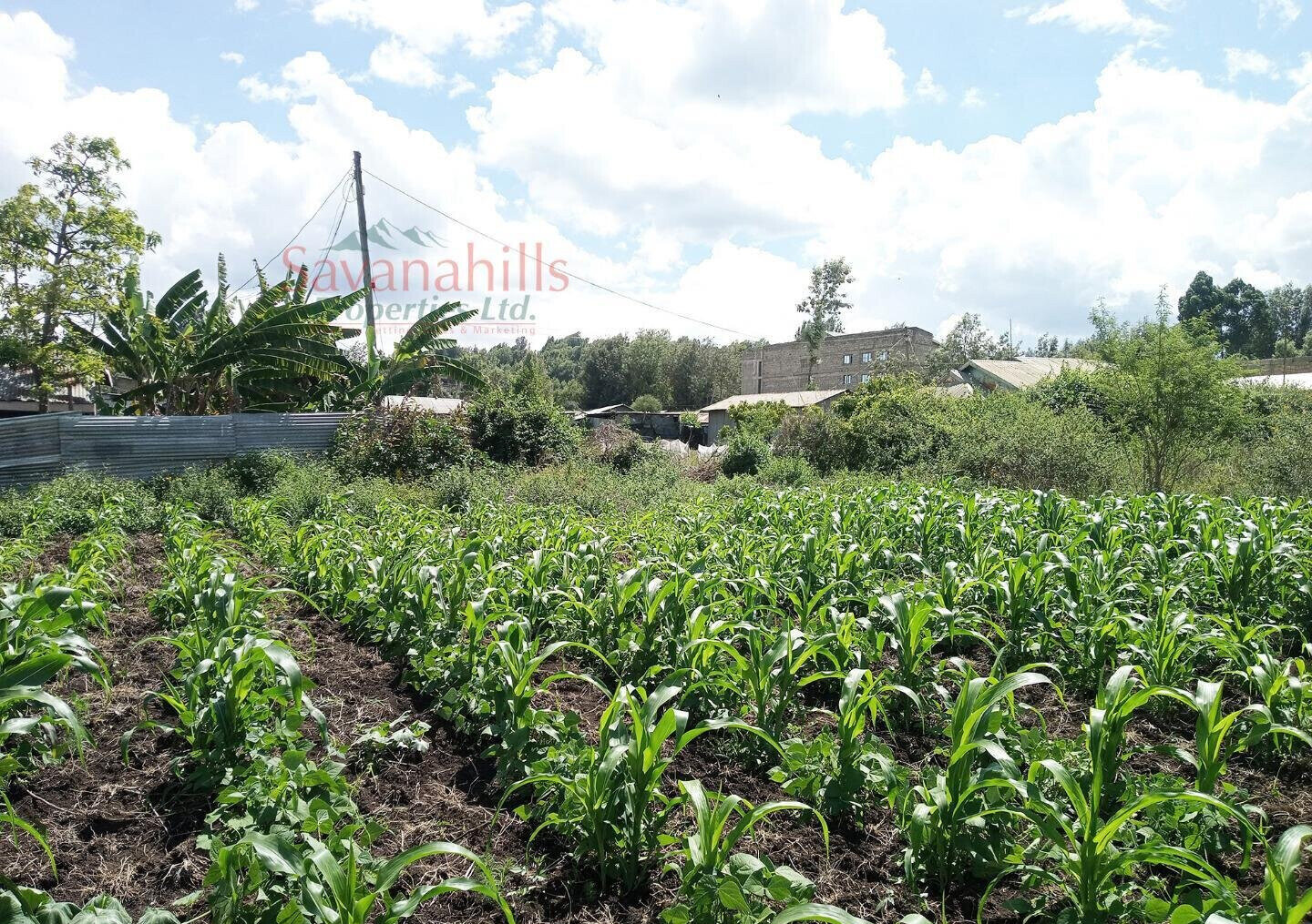 1/8 Acre Zambia Plot at KSh 4.5M