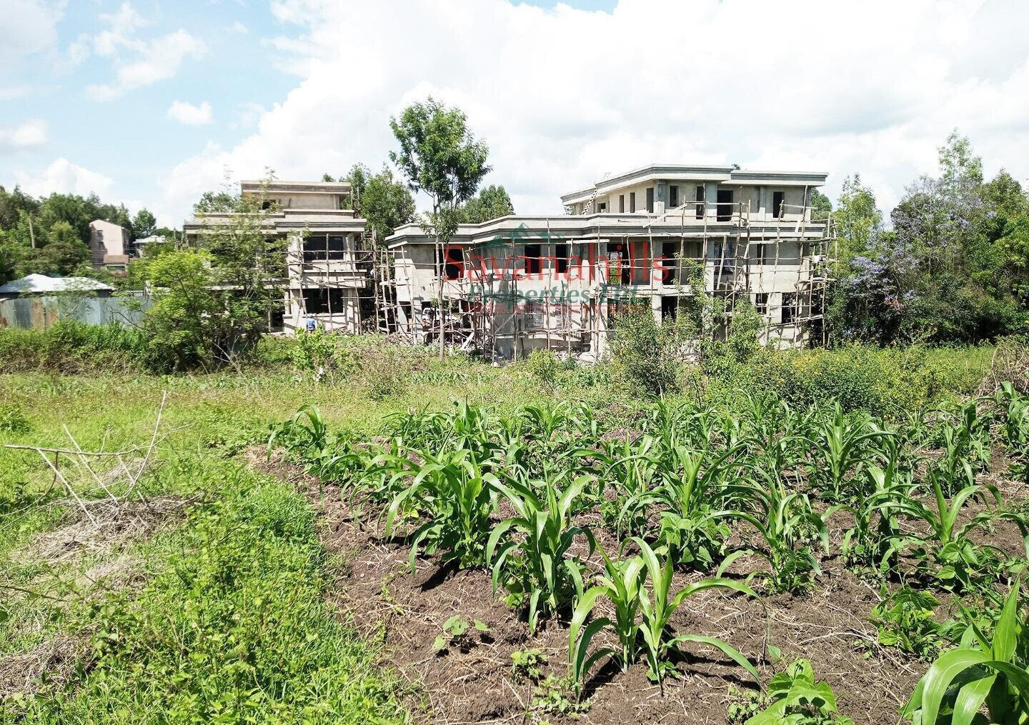 1/8 Acre Zambia Plot at KSh 4.5M