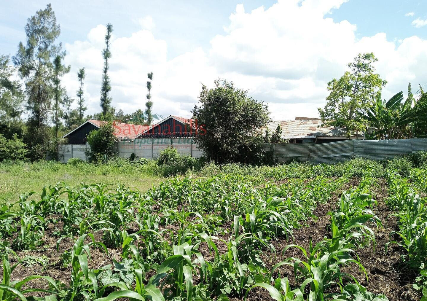 1/8 Acre Zambia Plot at KSh 4.5M